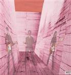 Blonde Redhead "In An Expression Of The Inexpressible LP"
