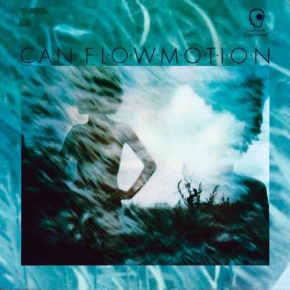 Can "Flow Motion"