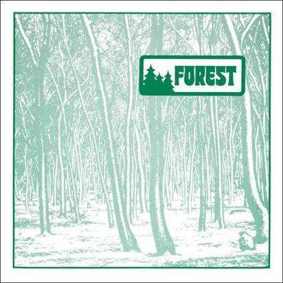 Forest "Forest"