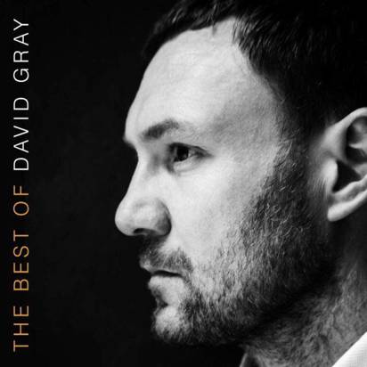 Gray, David "The Best Of Lp"