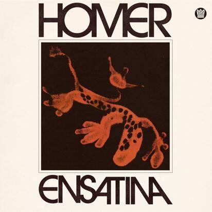 Homer "Ensatina"