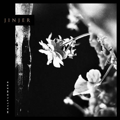 Jinjer "Wallflowers LP BLACK"