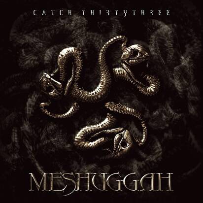 Meshuggah "Catch 33"