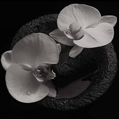 Mike Patton & Jean-Claude Vannier "Corpse Flower LP"