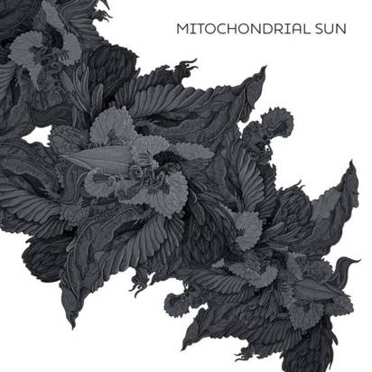 Mitochondrial Sun "Mitochondrial Sun"