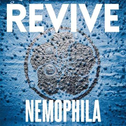 Nemophila "Revive"