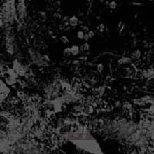 Primitive Man and Unearthly Trance "Split LP"