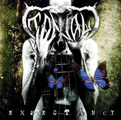 Tantal "Expectancy"