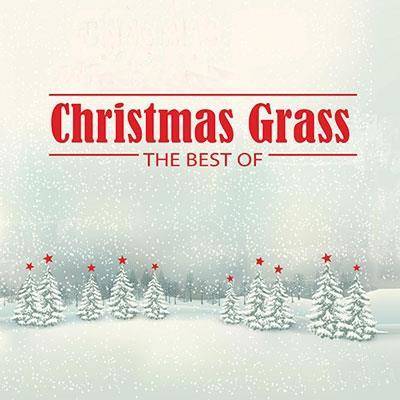 Various Artists "Christmas Grass: The Best Of (Green LP)"