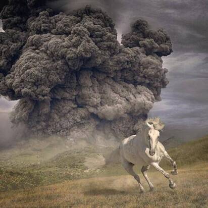 White Buffalo, The "Year Of The Dark Horse"