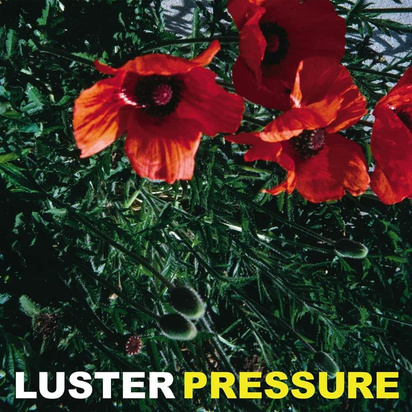 Luster "PRESSURE"