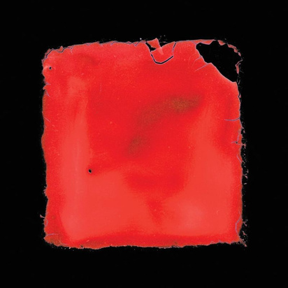 salvia palth "last chance to see"