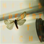 Frevert, Niels "Putzlicht"