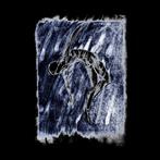 Laster "De Verste Verte Is Hier"