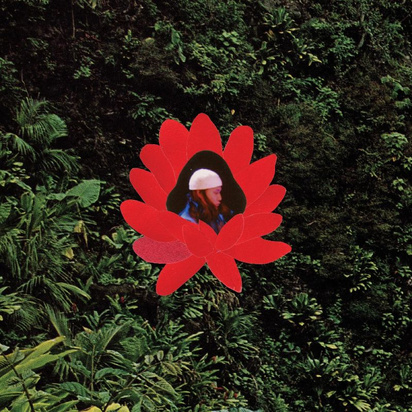 Lionmilk "When The Flowers Bloom LP"
