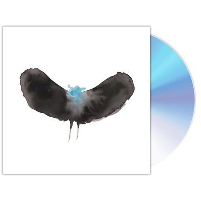 Hayward x Dalek "Hayward x Dalek"