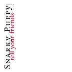 Snarky Puppy "Tell Your Friends - 10 Year Anniversary"