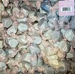 Slothrust "Everyone Else"