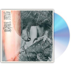 Author & Punisher "Nocturnal Birding"