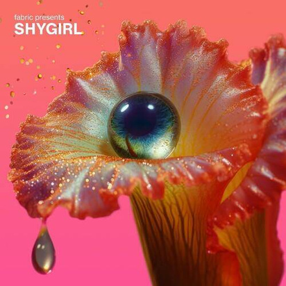 Various Artists feat. Shygirl "fabric presents Shygirl"