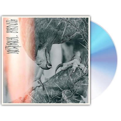 Author & Punisher "Nocturnal Birding"