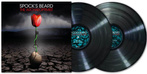 Spock's Beard "The Archaeoptimist LP BLACK"