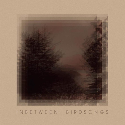 Gusset, Matthias "Inbetween Birdsongs"