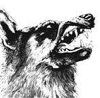 Crippled Black Phoenix "I Vigilante"