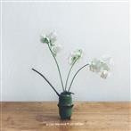 Blurr Thrower "Les Voutes"