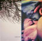 Cubicolor "Sometime Not Now"