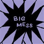 Public Body "Big Mess LP"