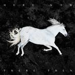 Dool "Here Now There Then"