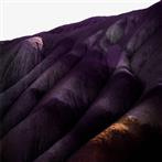 Whispering Sons "Several Others"