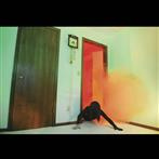 Adult "Becoming Undone LP"