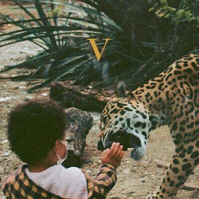 Unknown Mortal Orchestra "V"