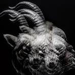 Gazette, The "Beautiful Deformity"