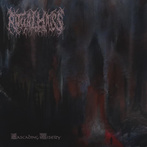 Ritual Mass "Cascading Misery LP"
