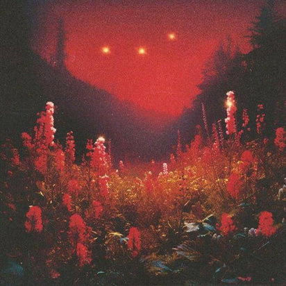 Silent Planet "Superbloom LP"