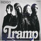 Tramp "Indigo"