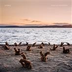 Airbag "A Day At The Beach"