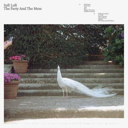 Soft Loft "The Party And The Mess"