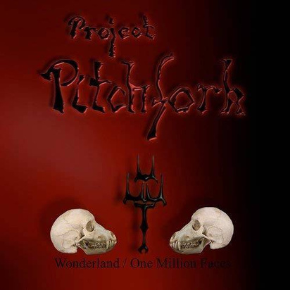 Project Pitchfork "Wonderland One Million Faces" 