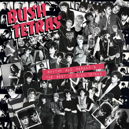 Bush Tetras "Rhythm And Paranoia The Best Of Bush Tetras LP"