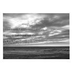 Tomahawk "Tonic Immobility"