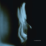 Tom Odell "A Wonderful Life"