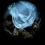 Ossicles "Mantelpiece"