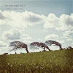Pineapple Thief, The "What We Have Sown"