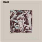 Midlake "For The Sake Of Bethel Woods"