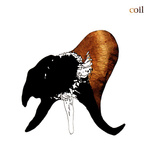 Coil "Black Antlers"