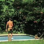 TOLEDO "How It Ends"